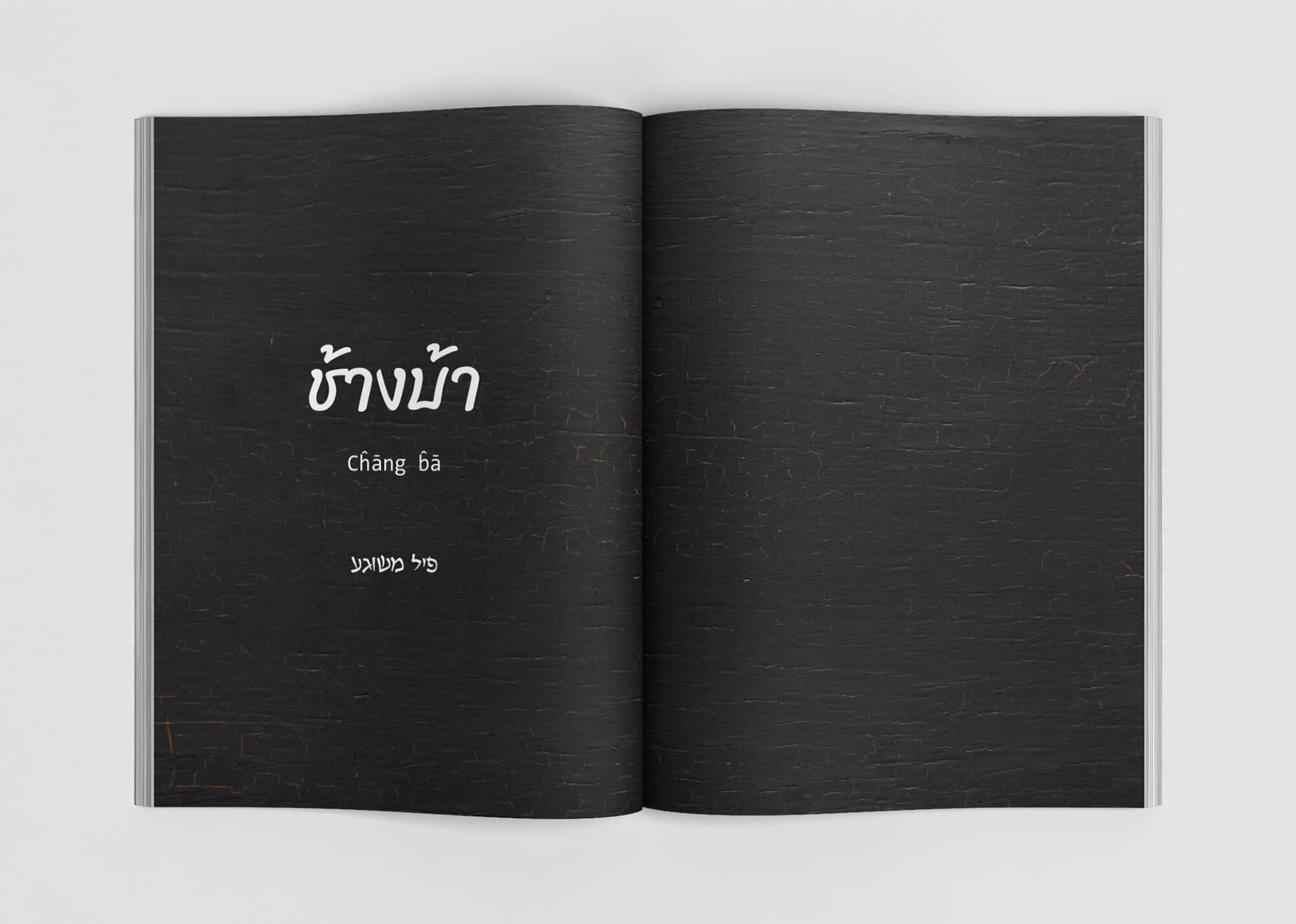 Chang Ba: Cookbook & Brand Book Design image 2