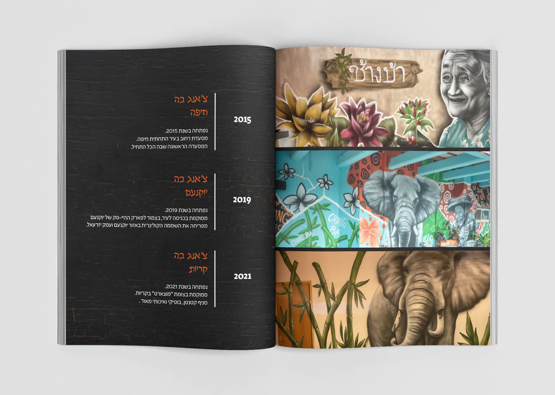 Chang Ba: Cookbook & Brand Book Design image 9