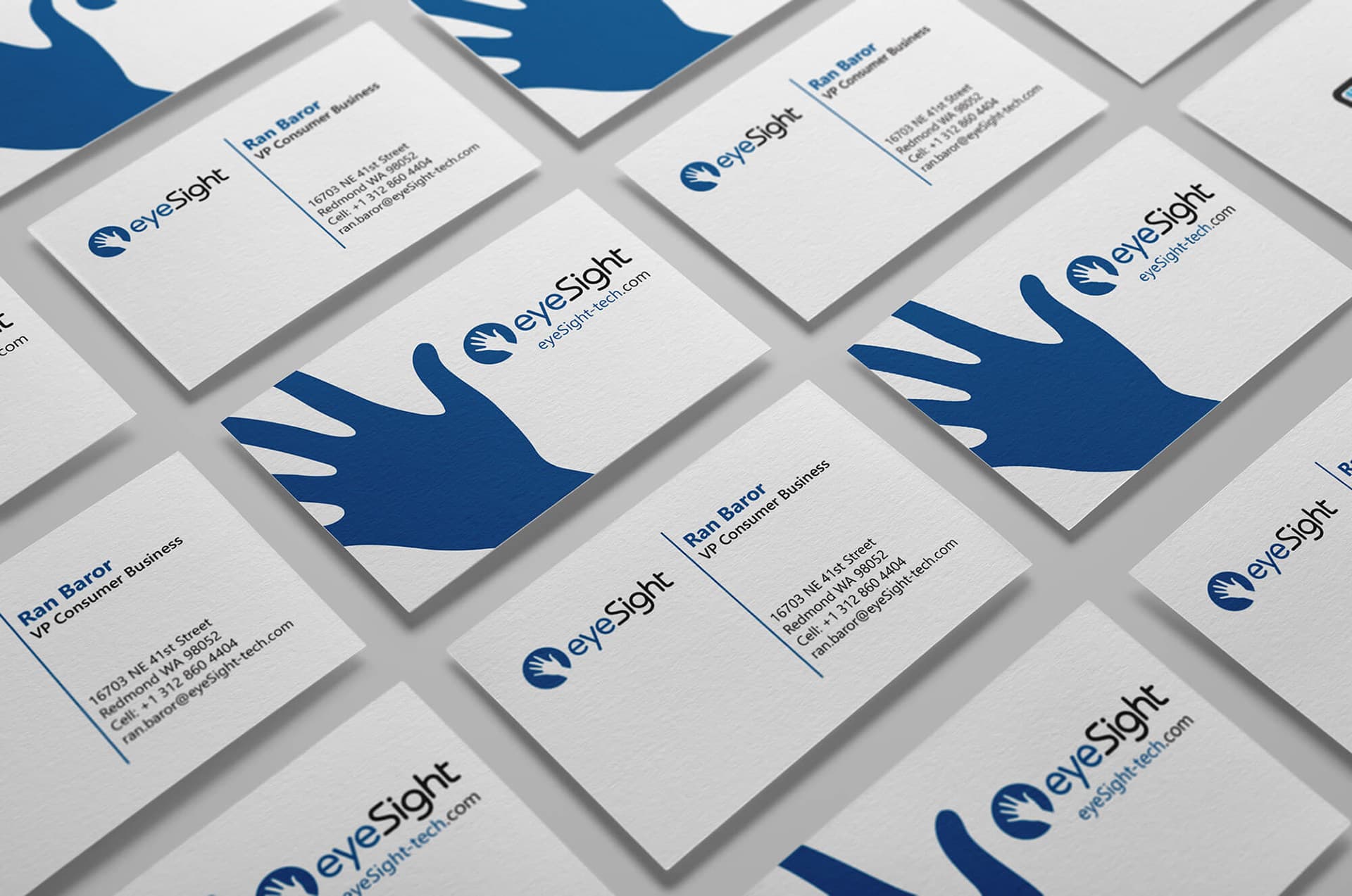 eyeSight / Cipia: Marketing & Trade Show Suite image 4