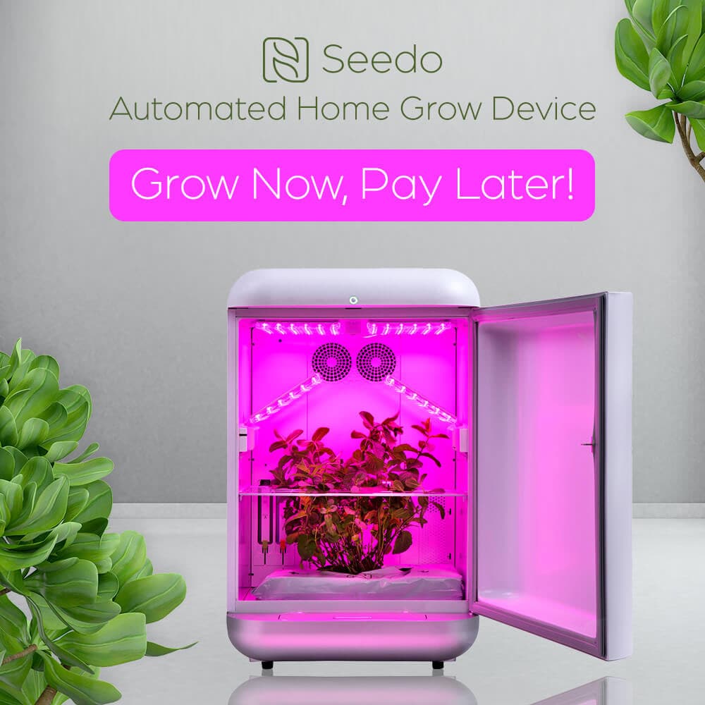 Instagram & Facebook Ads ad 3