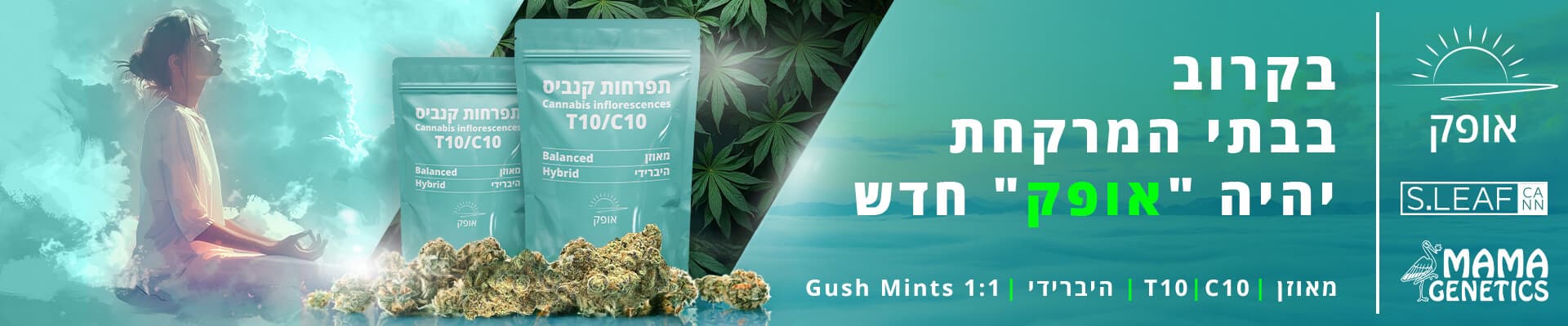 Ofek Cannabis: Medical Packaging Design image 1