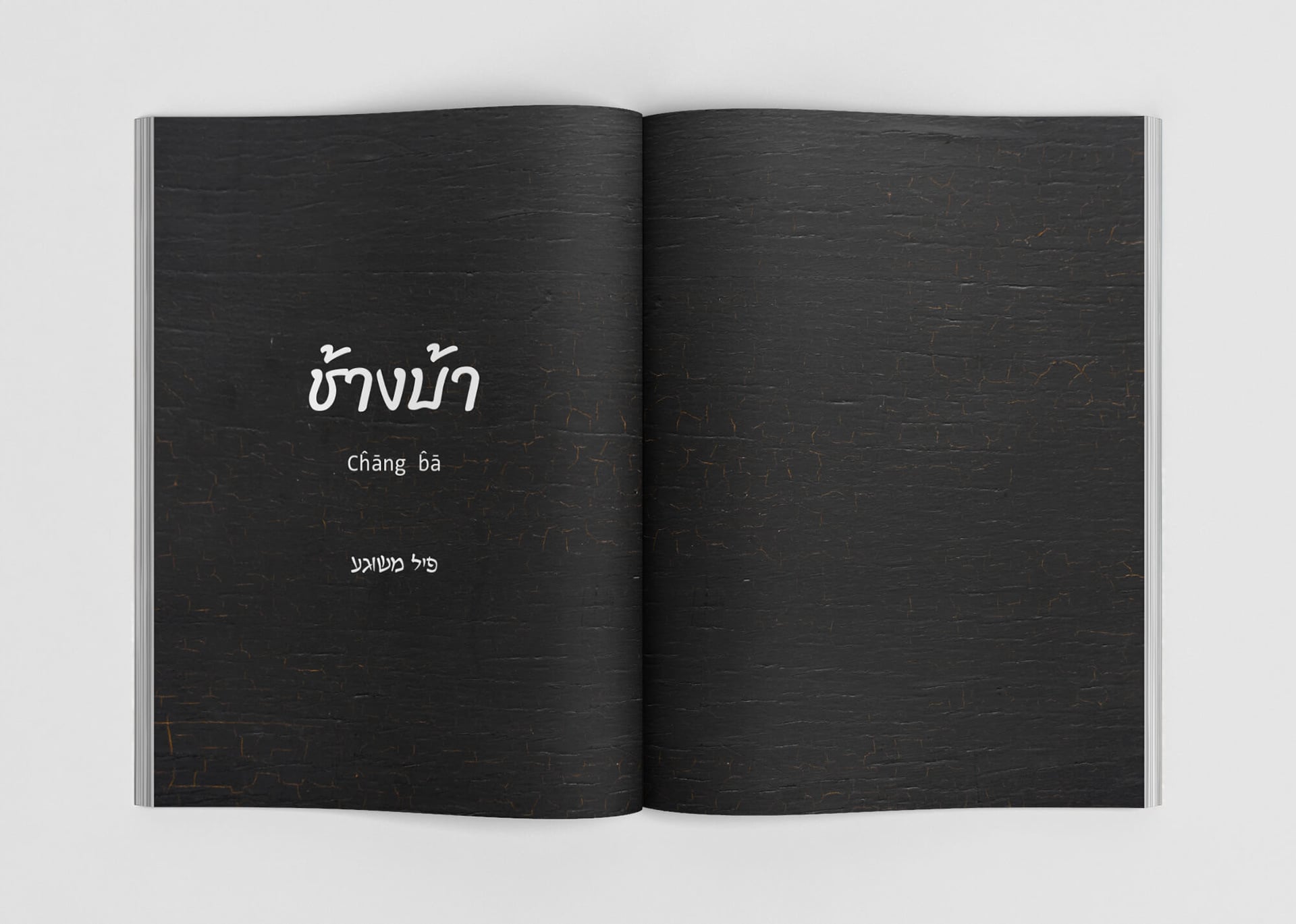Chang Ba: Cookbook & Merchandise Design image 2