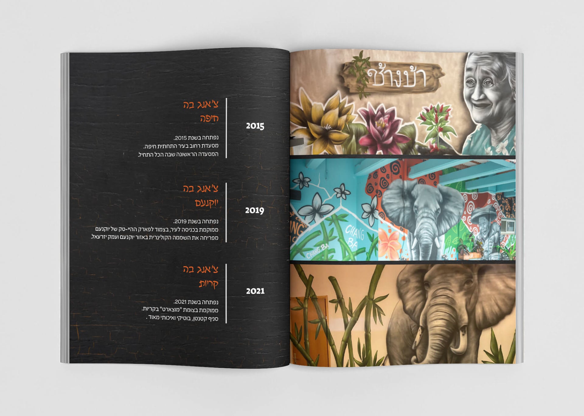 Chang Ba: Cookbook & Merchandise Design image 9